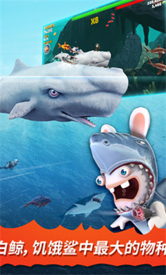 饥饿鲨进化旧版本截图1