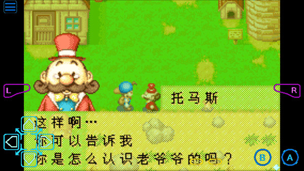 牧场物语矿石镇的伙伴们手机版截图3