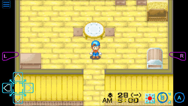 牧场物语矿石镇的伙伴们女孩版