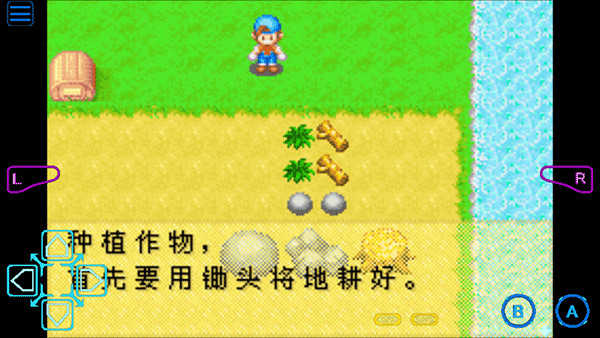 牧场物语矿石镇的伙伴们金手指手机版