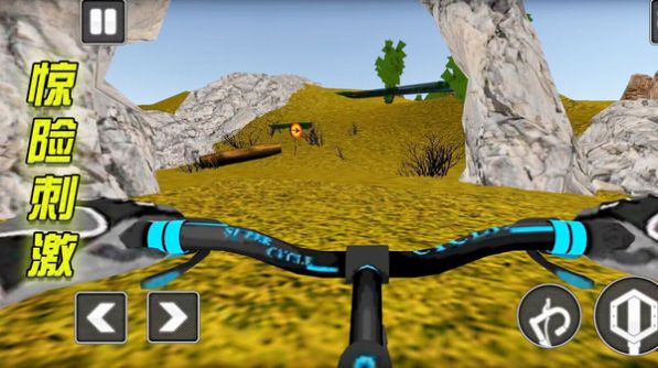 荒漠赛道截图2