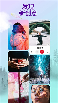 Pinterest极速版截图3