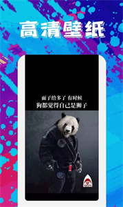 今日手机壁纸安卓版app