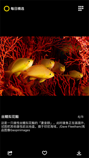 每日精选截图1