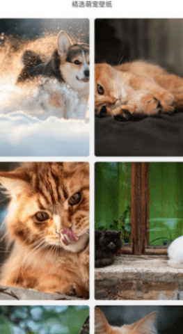 万能宝宠物截图2