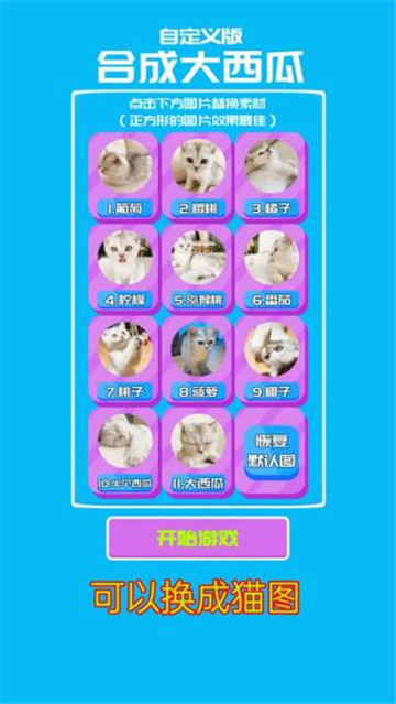 合成大西瓜自定义版截图2