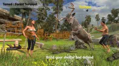 森林生存驯服动物截图2
