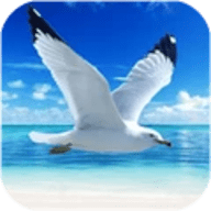 海鸥模拟器