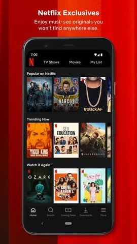 网飞netflix播放器截图2