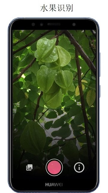 万物识别app截图1