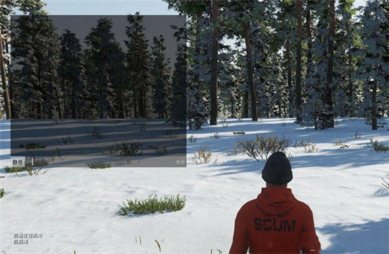 scum荒野求生中文版内置修改器