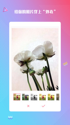 最美滤镜截图1