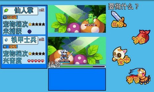 宠物王国5截图3