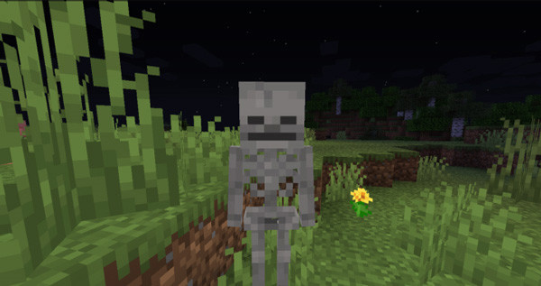 minecraft国际基岩版