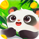 好运熊猫测试服