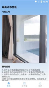 喵斯动态壁纸