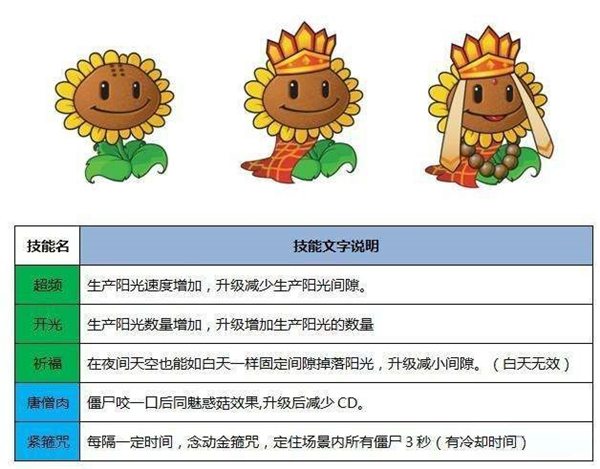植物大战僵尸西游记版