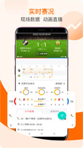 7M即时比分