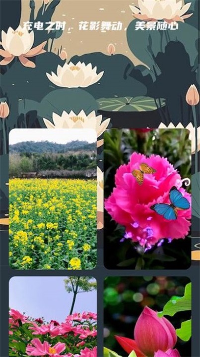 花影充电APP截图1