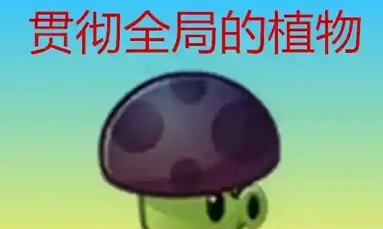 植物大战僵尸大招版