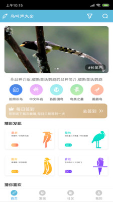 鸟叫声大全截图1