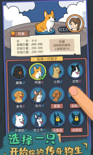 狗生模拟器截图3