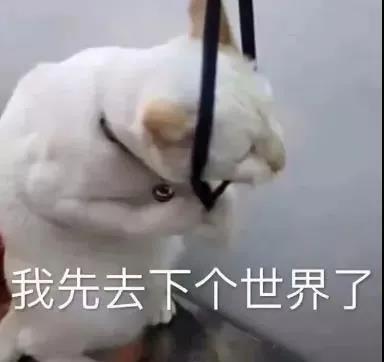 别生气了我错了 嘻嘻骗你的我怎么会错表情包