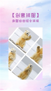 照片切图与拼图软件