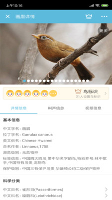 鸟叫声大全截图2