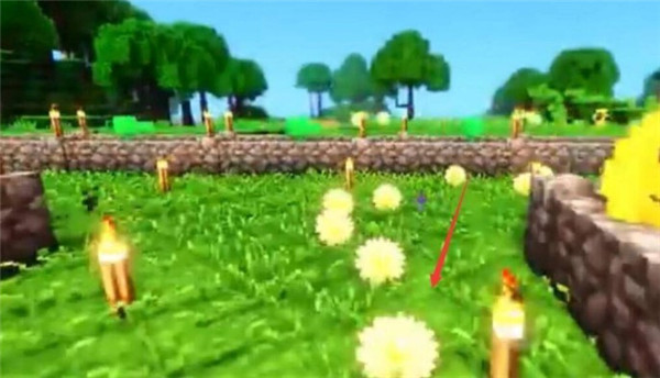 我的世界恐怖岛100天