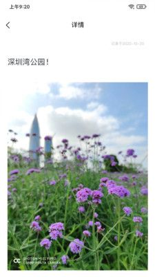 中林笔记本截图1