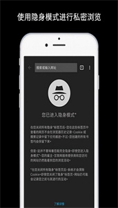 Chrome浏览器截图3