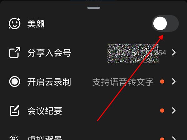 钉钉视频电话美颜打开教程 钉钉视频电话美颜打开教程