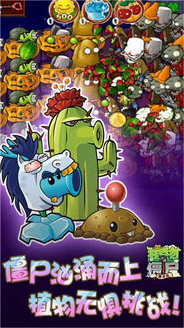 植物大战僵尸30.8原版截图1