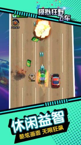 模拟狂野飞车截图1