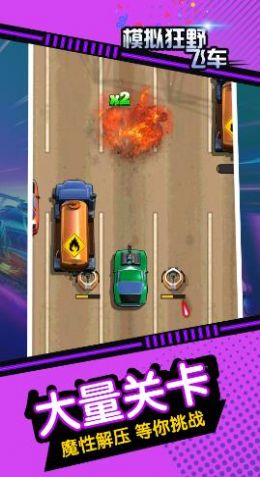 模拟狂野飞车截图2