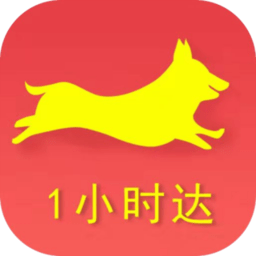 金大狗到家