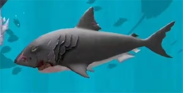 饥饿鲨世界邪恶鲨鱼版