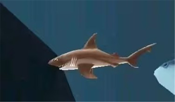 饥饿鲨世界邪恶鲨鱼版