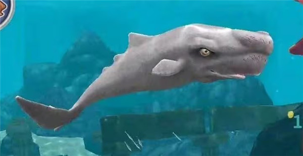 饥饿鲨世界邪恶鲨鱼版