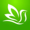 百灵医生居民端下载 百灵医生居民端（V2.9.6）完美版