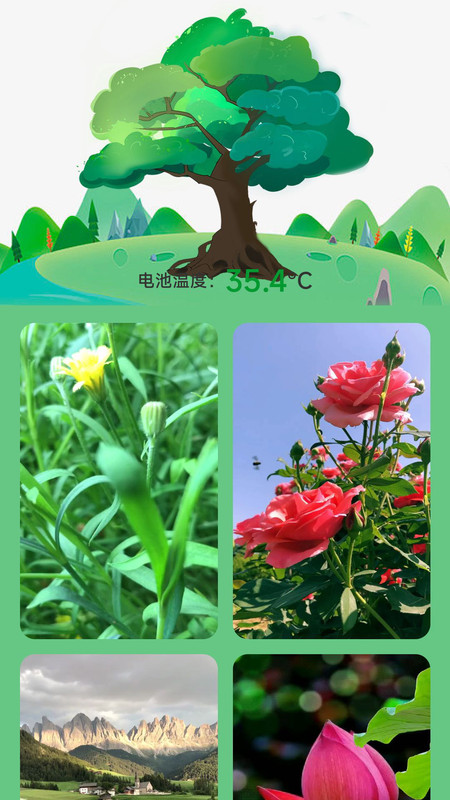 充电树app官方版