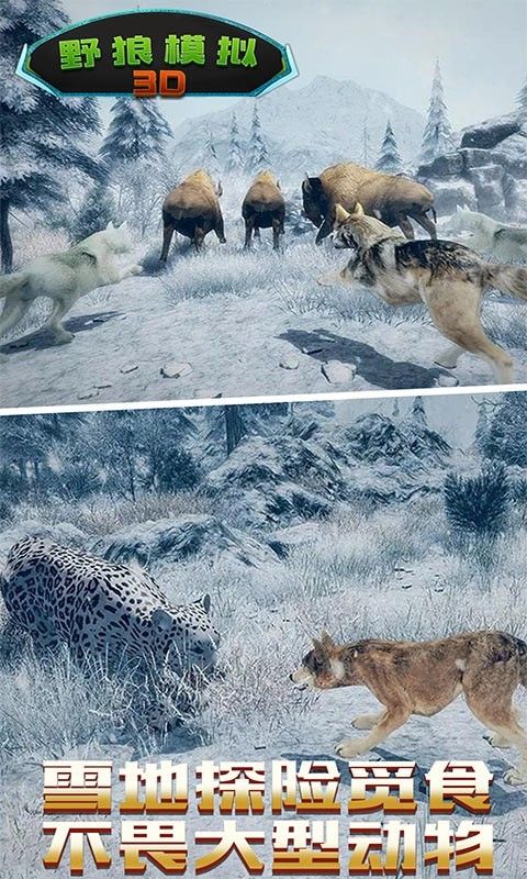野狼模拟3D截图2