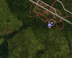 地平线5手机版官方正版