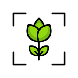 专注自律手机版