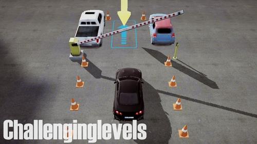 真正的停车场截图3