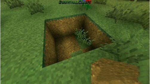 生存战争2.2扩展版截图2