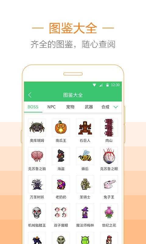 泰拉瑞亚存档编辑器截图2
