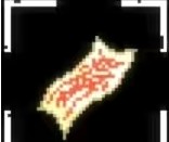 放课后的捉迷藏汉化版