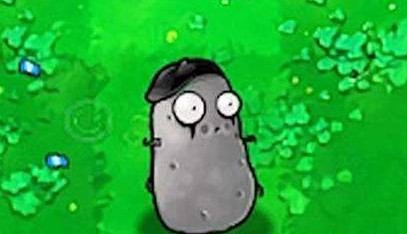 植物大战僵尸模仿者